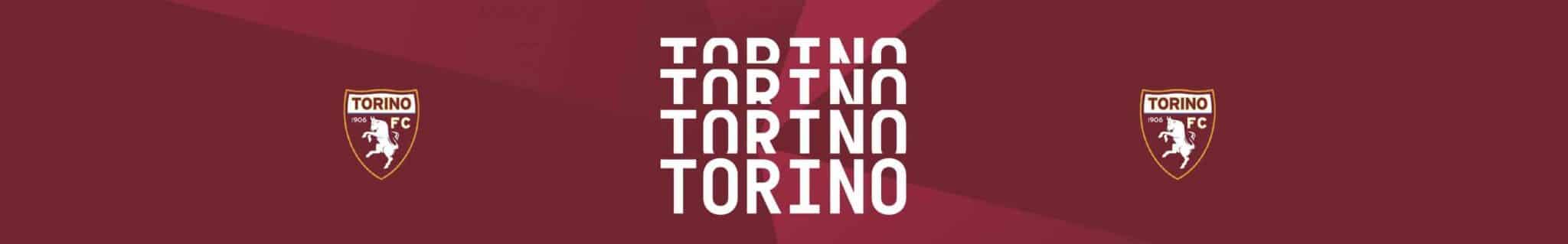 Banner Orizzontale Torino