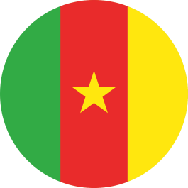 Camerun girone G mondiali 2022