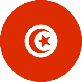 Tunisia girone D mondiali 2022