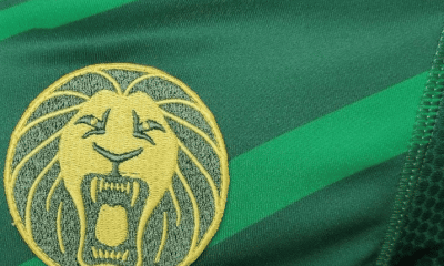 Mondiali di Qatar 2022: la maglia del Camerun
