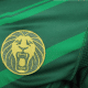 Mondiali di Qatar 2022: la maglia del Camerun