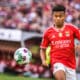Fantacalcio, la scheda di David Neres al Napoli: un possibile crack per l’asta?