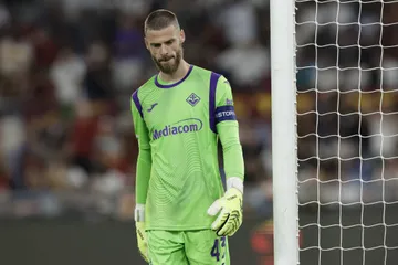 Fiorentina-Torino: pronostico, anteprima e probabili formazioni