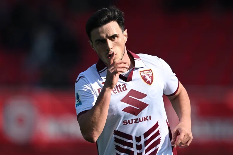 elmas torino
