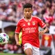 Fantacalcio, la scheda di David Neres al Napoli: un possibile crack per l&rsquo;asta?