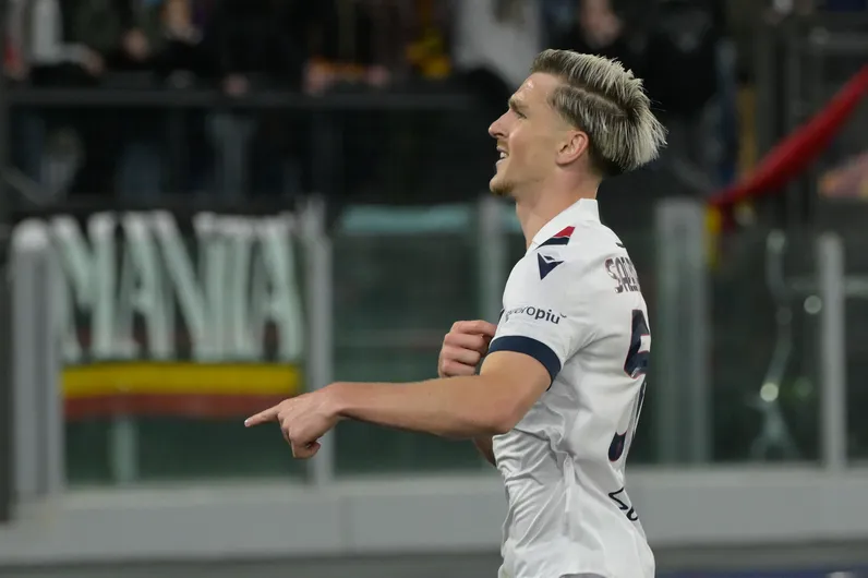 saelemaekers bologna