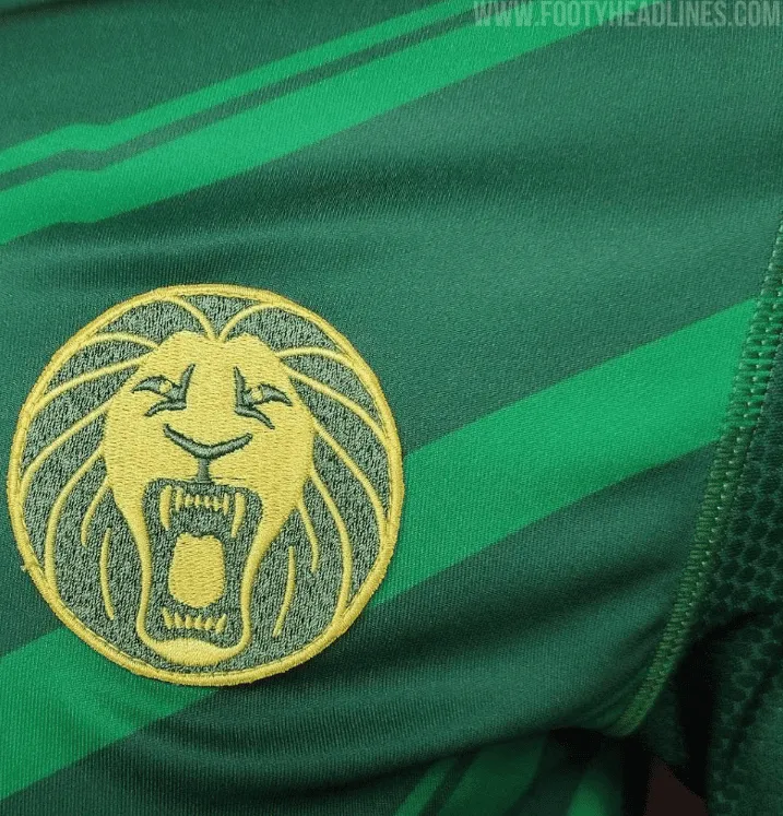 Mondiali di Qatar 2022: la maglia del Camerun