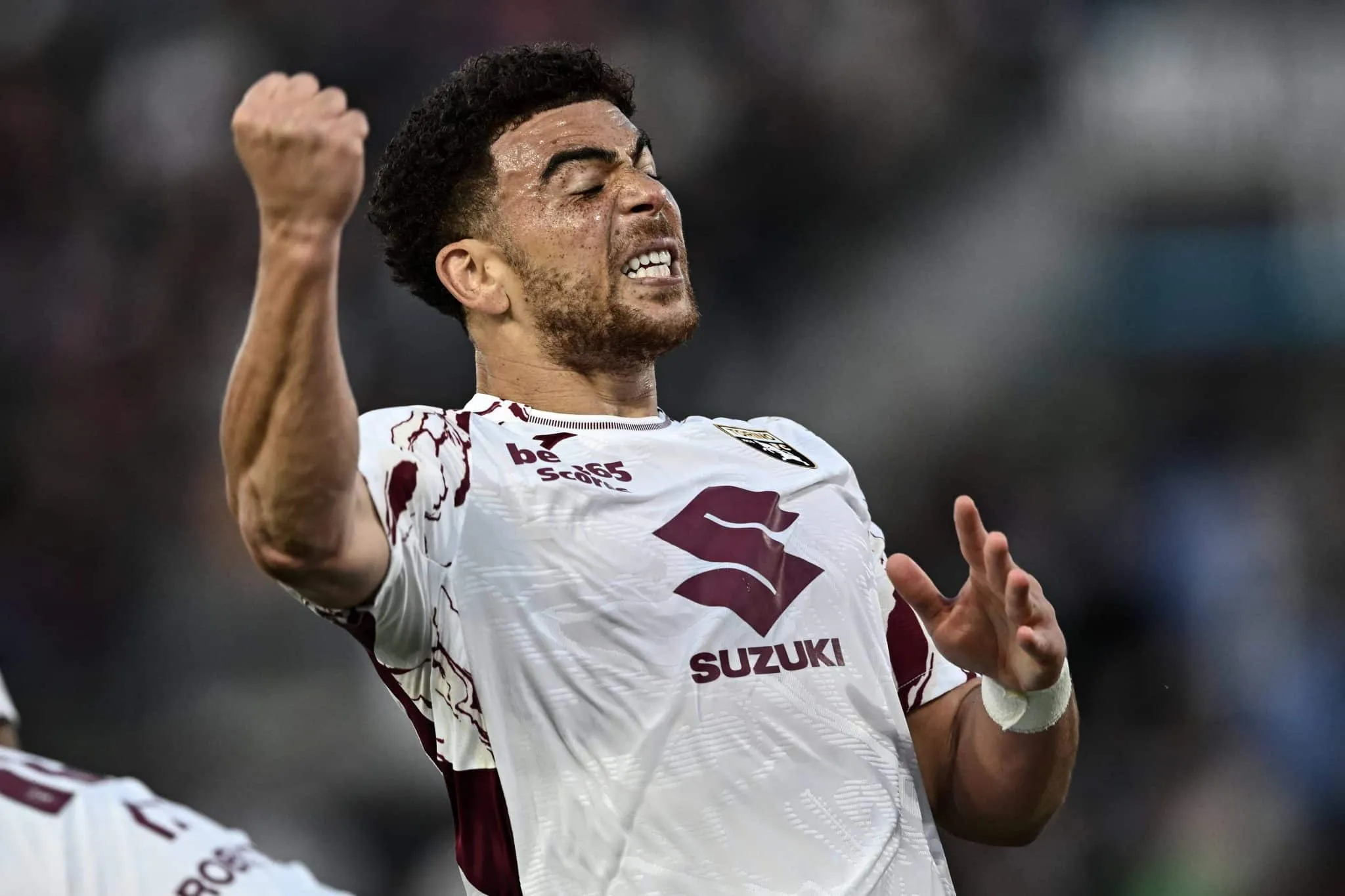 Torino-Verona: pronostico, anteprima e probabili formazioni