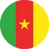 Camerun girone G mondiali 2022