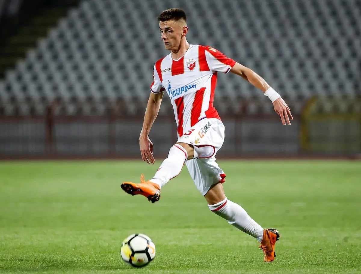 Chi è Aleksa Terzic: l’ultimo regalo di Corvino alla Fiorentina