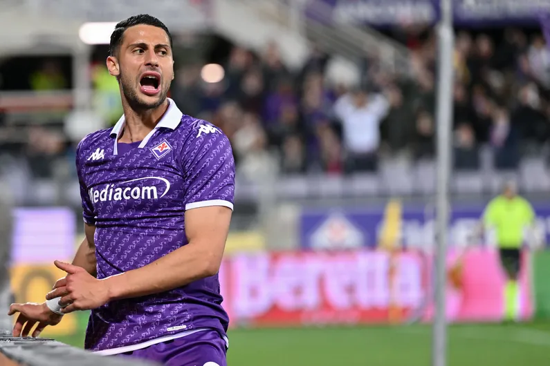 mandragora fiorentina