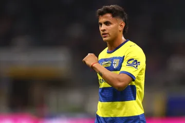Parma-Torino: pronostico, anteprima e probabili formazioni