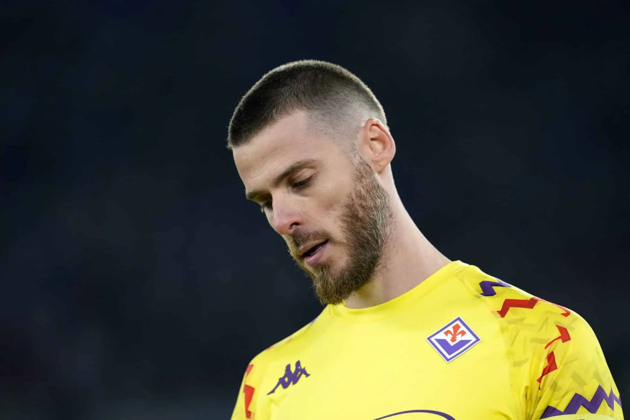 Consigli fantacalcio 24^ giornata, i portieri divisi per fascia: cosa fare con De Gea, Rui Patricio, Svilar&hellip;