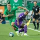 Fiorentina-Rapid Vienna: probabili formazioni, orario e dove vederla in tv