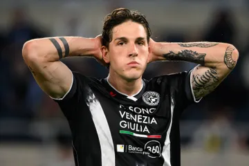 Udinese-Torino: pronostico, anteprima e probabili formazioni
