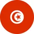 Tunisia girone D mondiali 2022