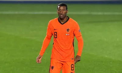 Calciomercato, da Wijnaldum a Draxler: gli esuberi in casa PSG e le loro possibili destinazioni in Serie A